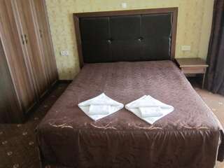 Отель Hotel Magnoliya Паничиште Двухместный номер с 1 кроватью или 2 отдельными кроватями и балконом-1